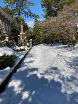 雪景色 雪景色の写真