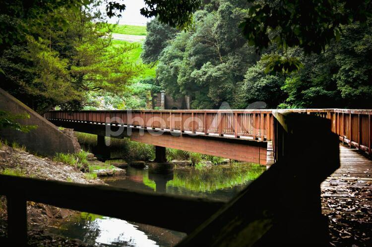 田舎の風景 橋,水門,池の写真素材