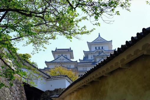 姫路城の写真