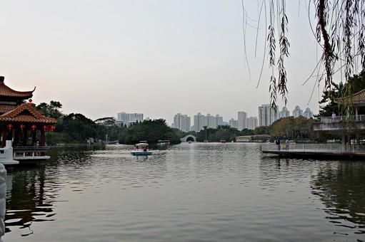 中国 深圳の公園の池 中国 深圳の公園の池 池,公園,たそがれの写真素材