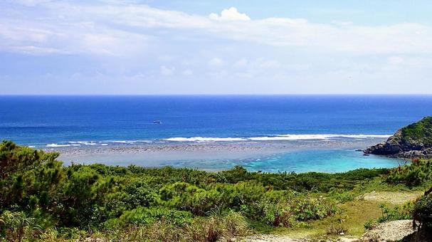 渡嘉敷島の見花原遊歩道から見える海の風景 渡嘉敷島の見花原遊歩道から見える海の風景の写真