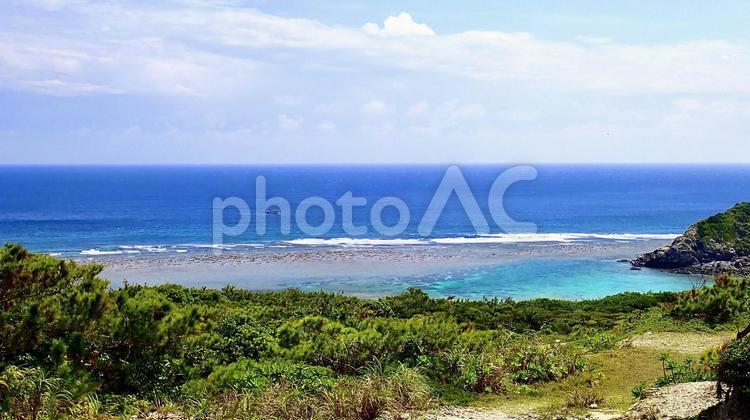 渡嘉敷島の見花原遊歩道から見える海の風景 見花原,渡嘉敷,海の写真素材
