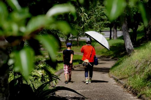 <素材>暑い夏の公園を仲良く散歩する親子 <素材>暑い夏の公園を仲良く散歩する親子 家族,親子,女性の写真素材