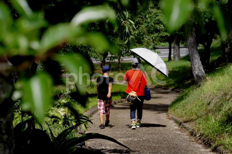 ＜素材＞暑い夏の公園を仲良く散歩する親子 家族,親子,女性の写真素材