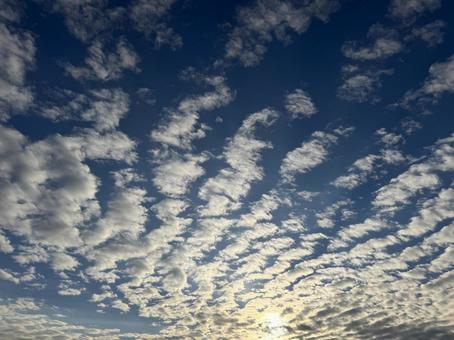 秋の鱗雲 秋の鱗雲の写真