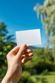 新緑の中で名刺を提示するクローズアップ 新緑の中で名刺を提示するクローズアップの写真