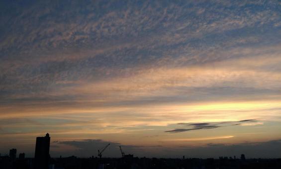 うろこ雲に夕焼け うろこ雲に夕焼けの写真