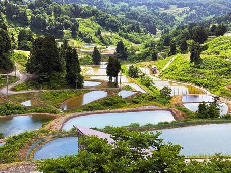 山古志の棚田 山古志の棚田 棚田,山古志,水盤の写真素材