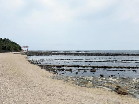 宮崎県　青島 旅行,旅,観光の写真素材