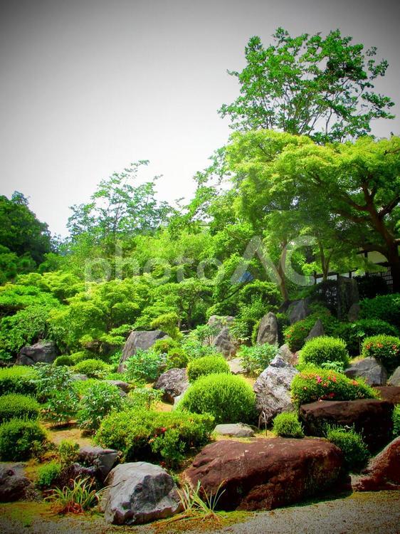 奈良県-當麻寺-奥院-浄土庭園 當麻寺,寺,二上山の写真素材