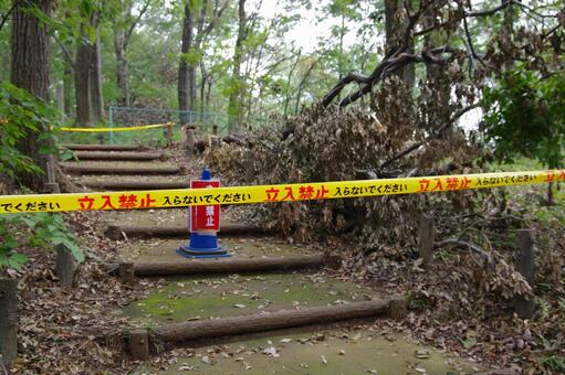 立ち入り禁止 立ち入り禁止の写真