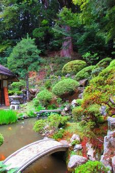 鳥取県-豊乗寺-庭園 鳥取県-豊乗寺-庭園 豊乗寺,寺,宇谷山の写真素材
