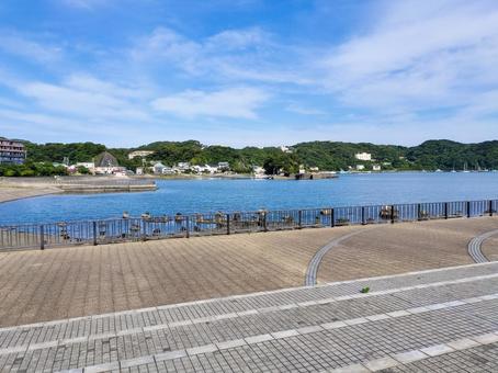 まどが浜海遊公園と下田港の海 まどが浜海遊公園と下田港の海 まどが浜海遊公園,海,下田港の写真素材