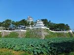 島原城天守　夏 城,お城,風景の写真素材