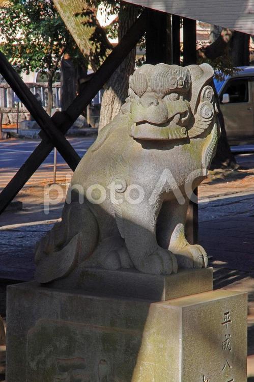 川口神社（川口） 川口神社,素戔嗚尊,菅原道真公の写真素材