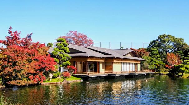 秋の行船公園の紅葉・平成庭園(江戸川区) 秋の行船公園の紅葉・平成庭園(江戸川区) 秋,紅葉,行船公園の写真素材