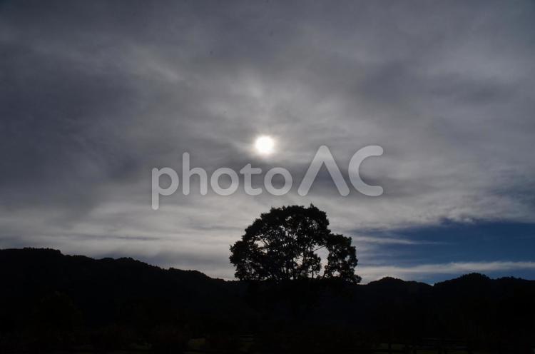 開田高原の秋　青い空と白い雲 秋,そら,秋の空の写真素材