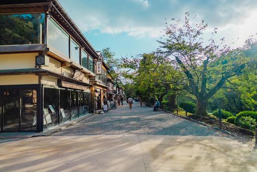 【石川】兼六園 文化財指定庭園 兼六園,文化財指定庭園,庭園の写真素材