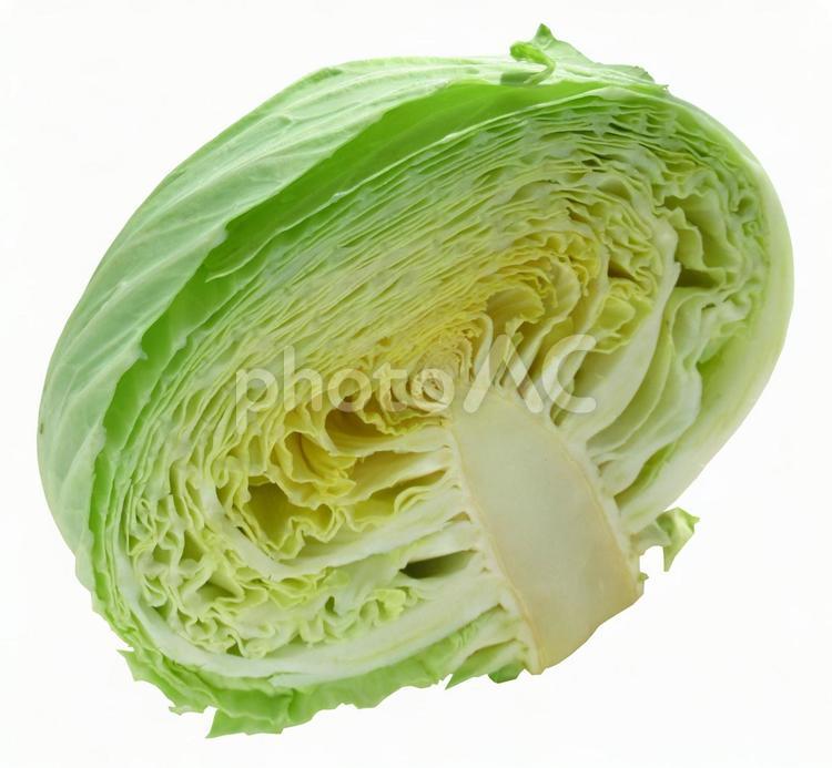 キャベツ1/2（PSD切抜用パス付き） キャベツ,きゃべつ,1/2の写真素材