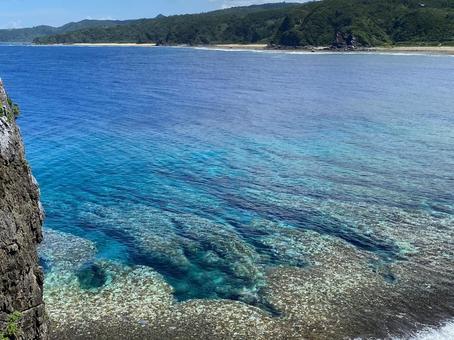 Photo, coral reefs, coral, yambaru, 