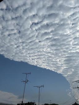 雲の広がる青空 雲の広がる青空の写真