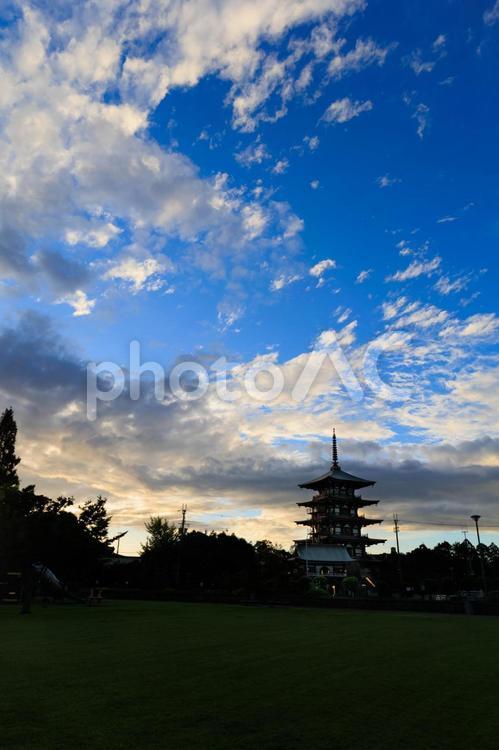 早朝の青い空と五重塔 五重塔,塔,風景の写真素材