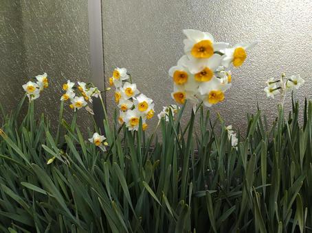 花のある風景２の写真