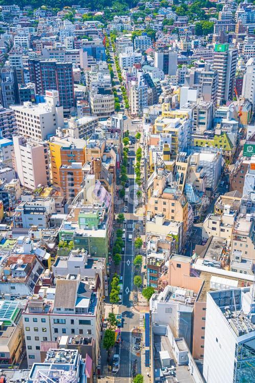 神戸の街並み 高層ビル,ビル群,市街地の写真素材