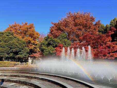 虹を抱く噴水(秋) 03 噴水,水景施設,紅葉の写真素材