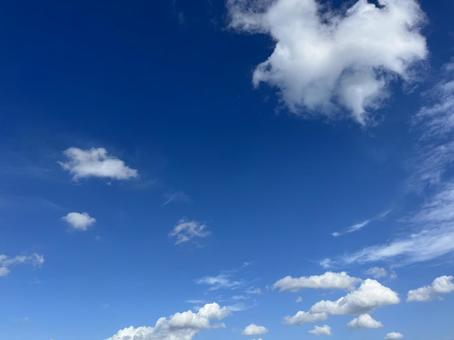 群青の青空と秋雲 青空,空,木の写真素材