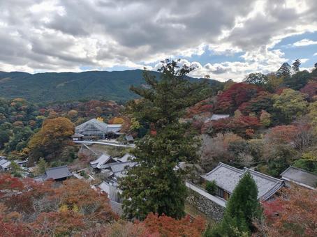 奈良県-長谷寺-国宝-本堂から望む風景 長谷寺,寺,豊山の写真素材