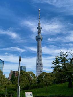 東京スカイツリー 東京スカイツリー 東京スカイツリー,スカイツリー,空の写真素材