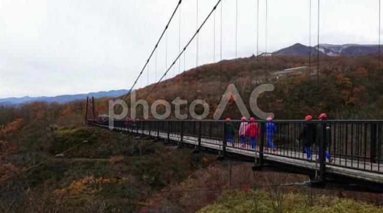 紅葉の中、つり橋を渡る子供達 つり橋,子供,紅葉の写真素材