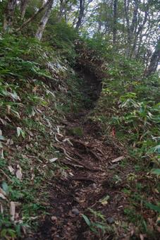 三瓶山の風景の写真