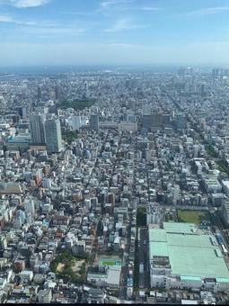 スカイツリーからの景色の写真