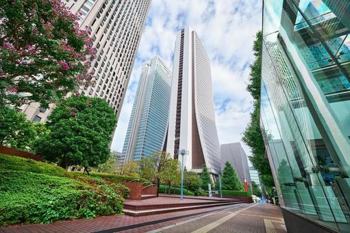 都会のビルと緑 東京 都会のビルと緑 東京 高層ビル,緑,オフィスの写真素材