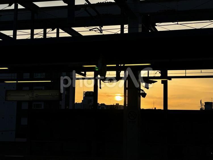 夕暮れの駅 夕暮れ,夕日,駅の写真素材