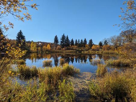 水面　反射　景色　紅葉　池 水面,反射,紅葉の写真素材