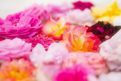 お花いっぱいの写真