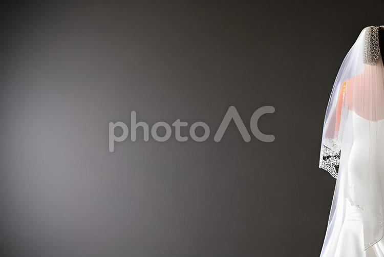花嫁の後ろ姿 後ろ姿,後姿,シルエットの写真素材