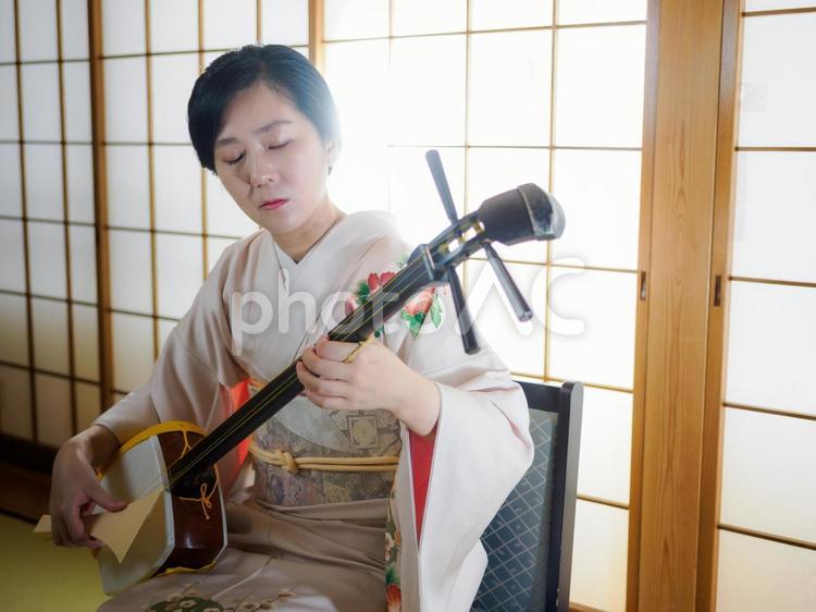 33：和服で三味線を演奏する女性 三味線,伝統芸能,和楽器の写真素材