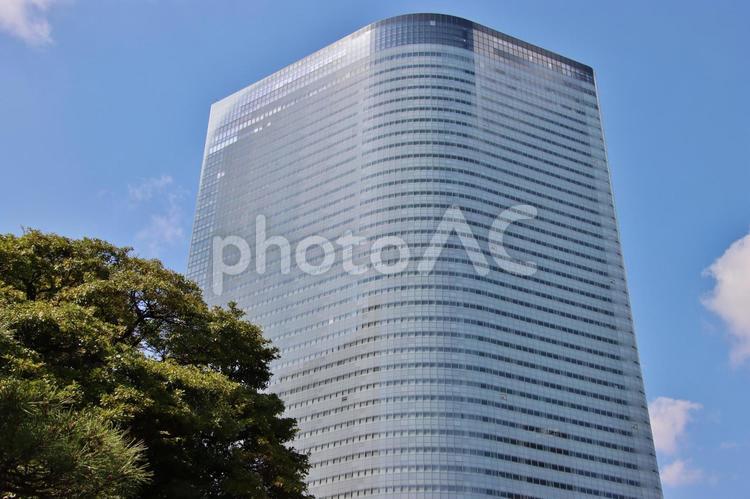 汐留の電通本社ビル（東京） 汐留,電通,本社の写真素材
