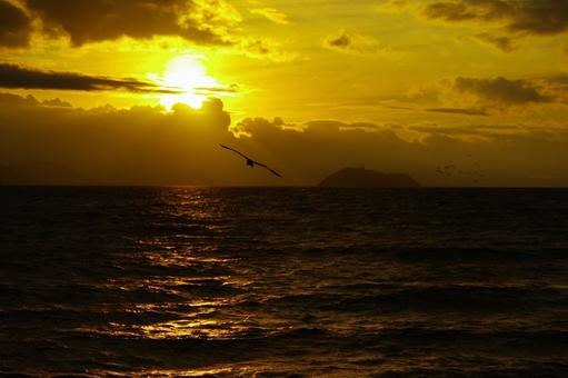 琵琶湖 竹生島 夜明け 日の出 琵琶湖 竹生島 夜明け 日の出 琵琶湖,竹生島,夜明けの写真素材