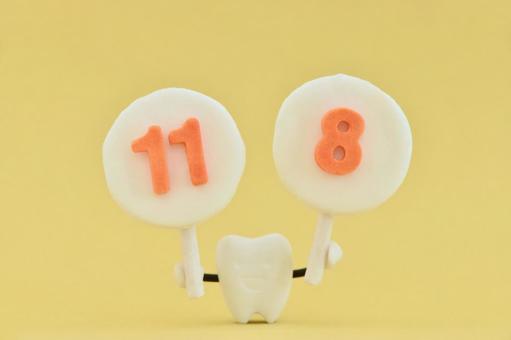 いい歯の日 いい歯の日 いい歯の日,11月8日,歯の写真素材