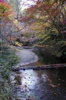 紅葉の川の水没橋 山道,橋,手作り橋の写真素材