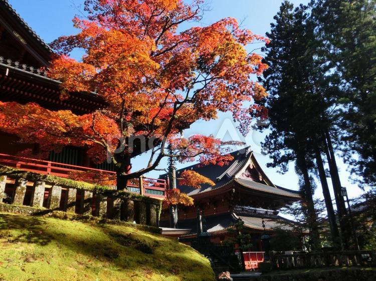日光の風景-73 日光,栃木県日光市,日光東照宮の写真素材