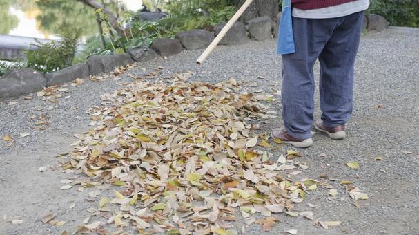 庭の落ち葉を掃除する女性 庭園,庭,掃除の写真素材