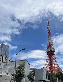 青空と東京タワー 青空と東京タワー 東京タワー,東京,tokyoの写真素材