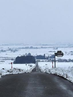 雪の恋人坂 雪の恋人坂の写真