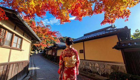 紅葉の秋の風景と着物を着た女性 紅葉の秋の風景と着物を着た女性の写真